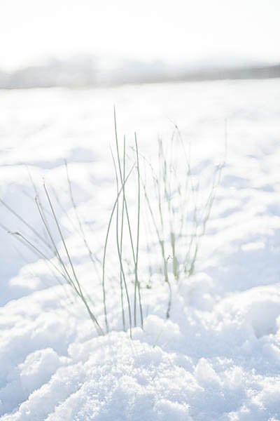 Ótimas dicas para fotografar na neve