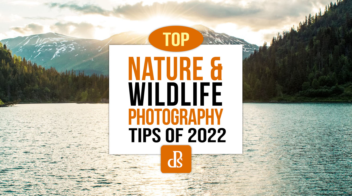 Principais dicas de fotografia de natureza e vida selvagem da dPS de 2022